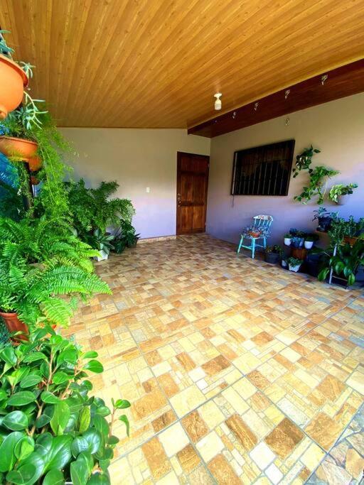 Peace Garden Apartment Monteverde Luaran gambar